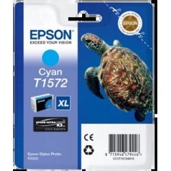 C13T15724010