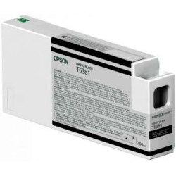 C13T636100